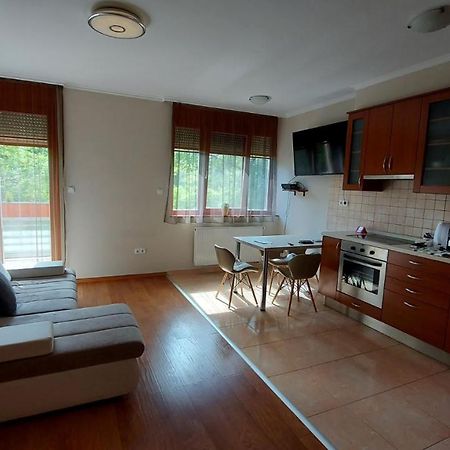 Sunny Loft Kecskemet Appartement Buitenkant foto