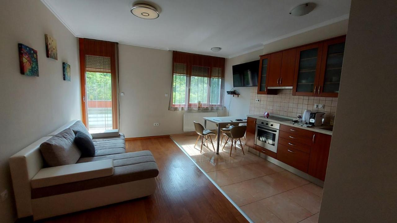 Sunny Loft Kecskemet Appartement Buitenkant foto